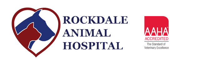 rockdale animal hospital