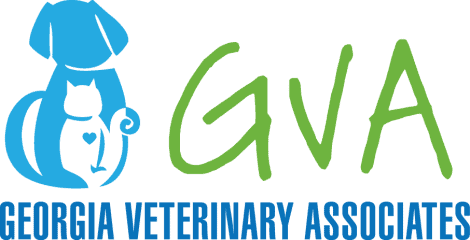 georgia veterinary associates inc