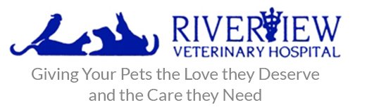 riverview veterinary hospital