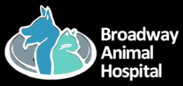 broadway animal hospital
