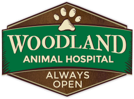 woodland animal hospital