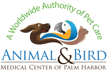 animal & bird medical center of palm harbor