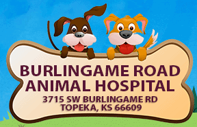burlingame road animal hospital