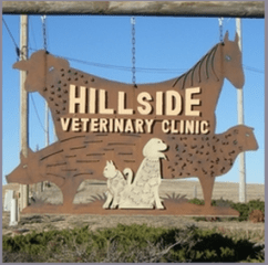 hillside veterinary clinic