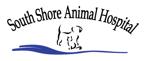 south shore animal hospital