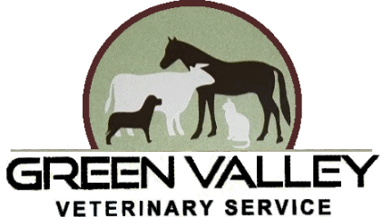 green valley veterinary service