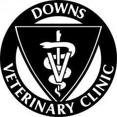 downs veterinary clinic