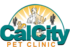 calcity pet clinic
