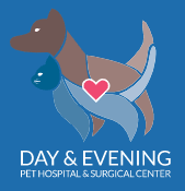 day & evening pet hospital and pet surgical center
