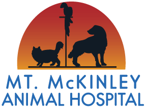 mt. mckinley animal hospital