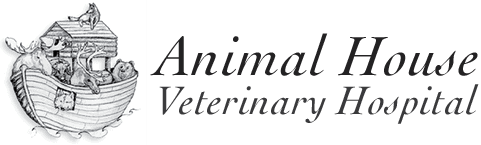 animal house veterinary hospital