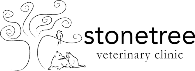 stonetree veterinary clinic and pet boutique