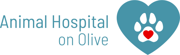 animal hospital on olive