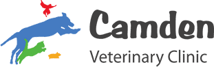 camden veterinary clinic