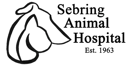 sebring animal hospital