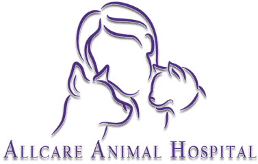 allcare animal hospital