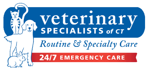 veterinary specialists of ct