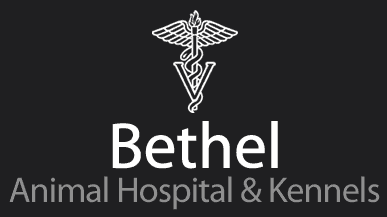 bethel animal hospital & kennel