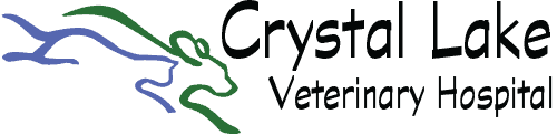 crystal lake veterinary hospital