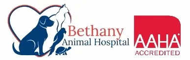 bethany animal hospital