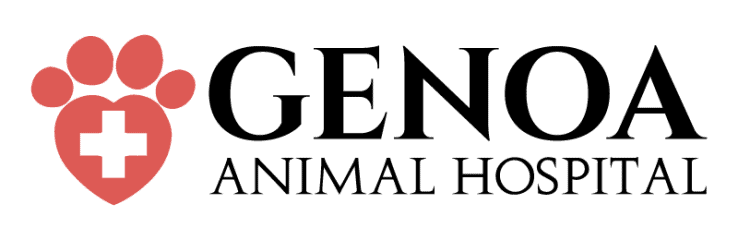 genoa animal hospital