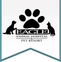 eagle animal hospital & pet resort