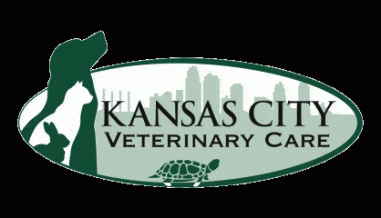 kansas city veterinary care