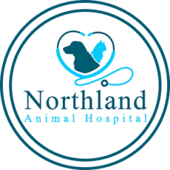 northland animal hospital