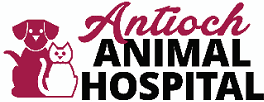 antioch animal hospital