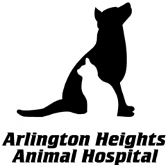 arlington heights animal hospital