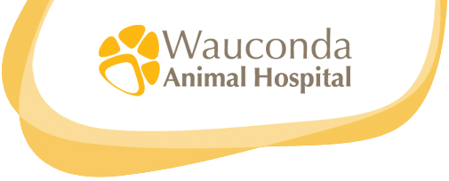 wauconda animal hospital