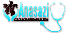 anasazi animal clinic