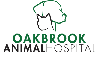 oakbrook animal hospital