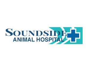 soundside animal hospital