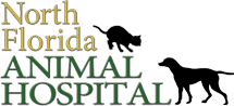 north florida animal hospital