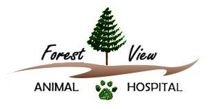 forest view animal hospital