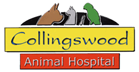 collingswood animal hospital