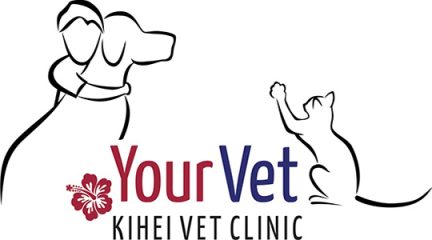 kihei veterinary clinic