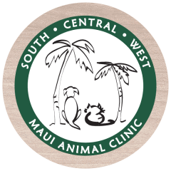 central maui animal clinic