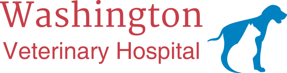 washington veterinary hospital