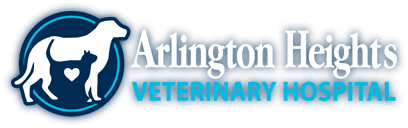 arlington heights veterinary hospital