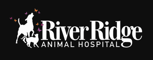 river ridge animal hospital