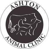 ashton animal clinic