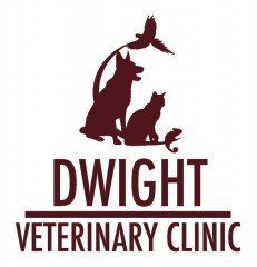dwight veterinary clinic