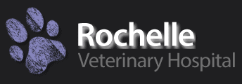 rochelle veterinary hospital