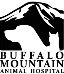 buffalo mountain animal hospital