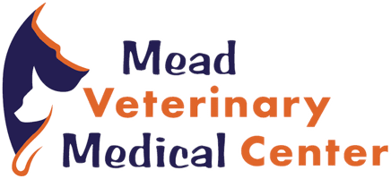 mead veterinary medical center