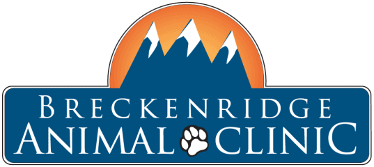 breckenridge animal clinic