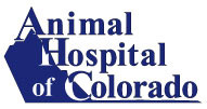 animal hospital of colorado
