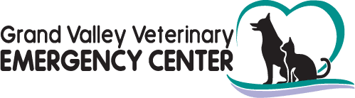 grand valley veterinary emergency center